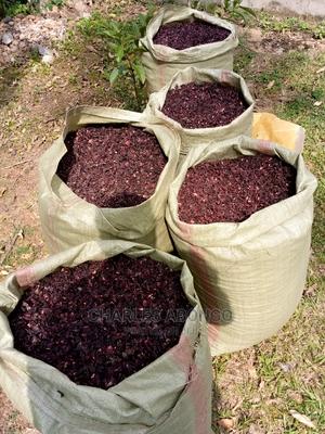 Hibiscus Petal Leaves - thumbnail 2