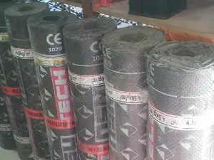App Membrane for Flat Roof
