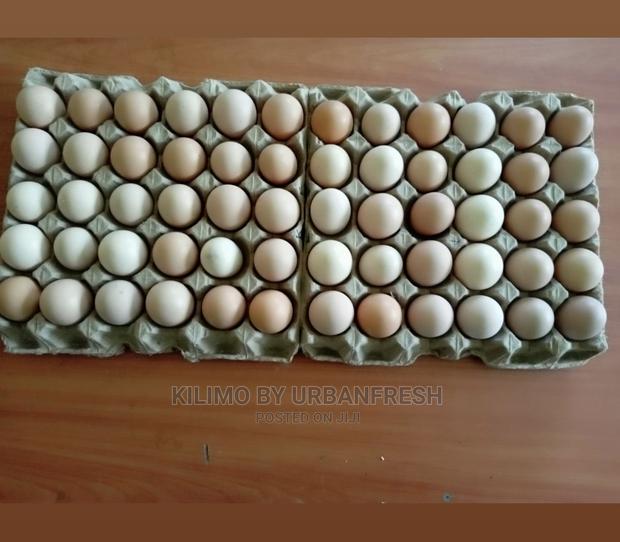 Fertilized Eggs : Turkey / Ducks /Improved Kienyeji Chicken. - thumbnail 3