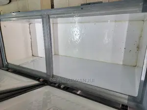Double Door Freezer