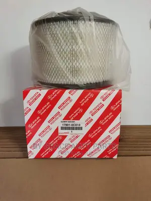 Air Filter/Air Cleaner