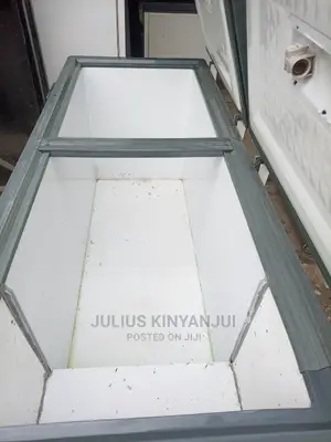 Double Door Freezer