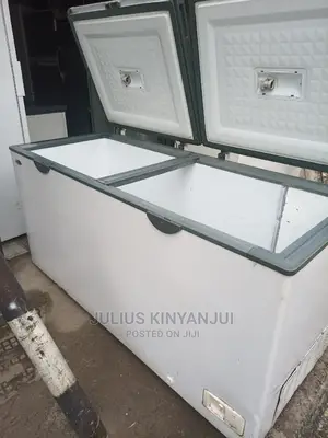 Double Door Freezer