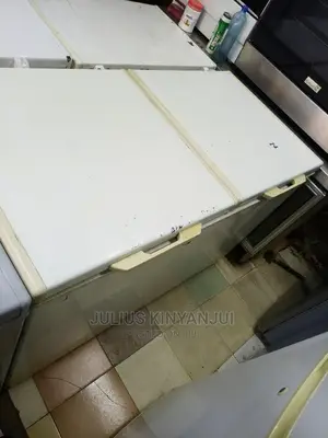 550L Deep Freezer