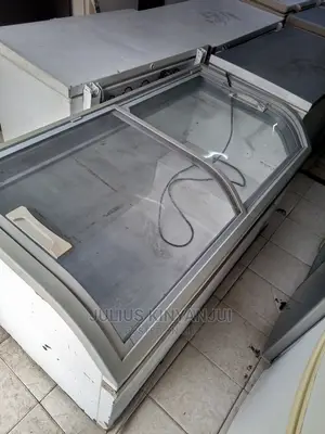 600L Display Freezer