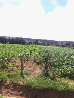 4 Acres Ihindu - thumbnail 2