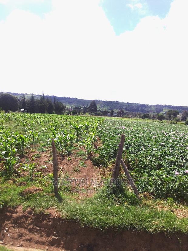 4 Acres Ihindu - main view