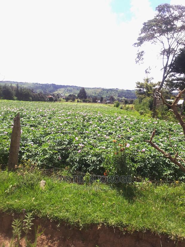 4 Acres Ihindu - thumbnail 4