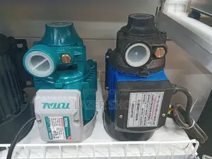 Boaster Pumps