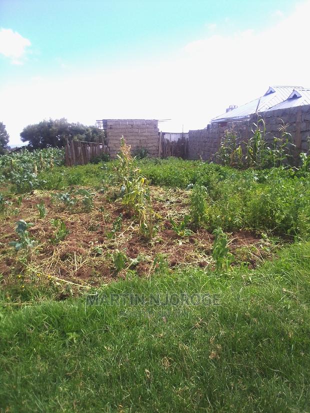 50 by 100 Acre Plot Kinungi - main view
