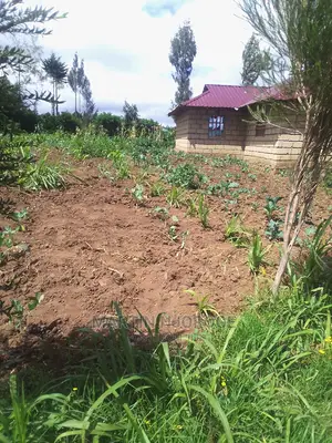 50 by 100 Acre Plot Kinungi