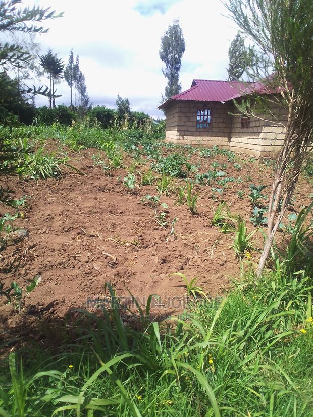 50 by 100 Acre Plot Kinungi - thumbnail 2