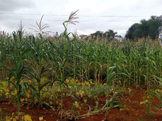 2 Acres of Land at Mua,Kaseve,Near the Mua Hospital