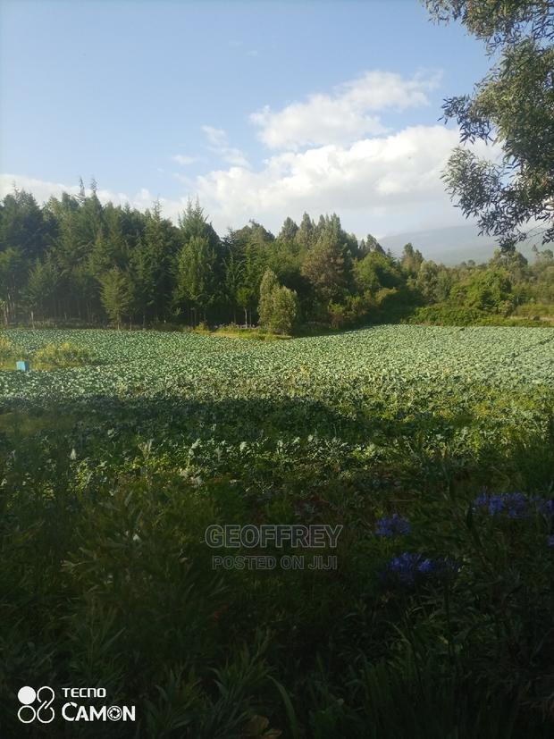 Selling 240 Acres in Timau - thumbnail 2