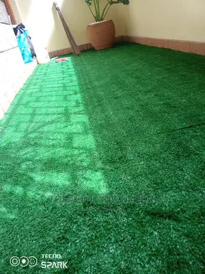 Grass Carpet Grass Carpet Grass Carpet Grass Carpet