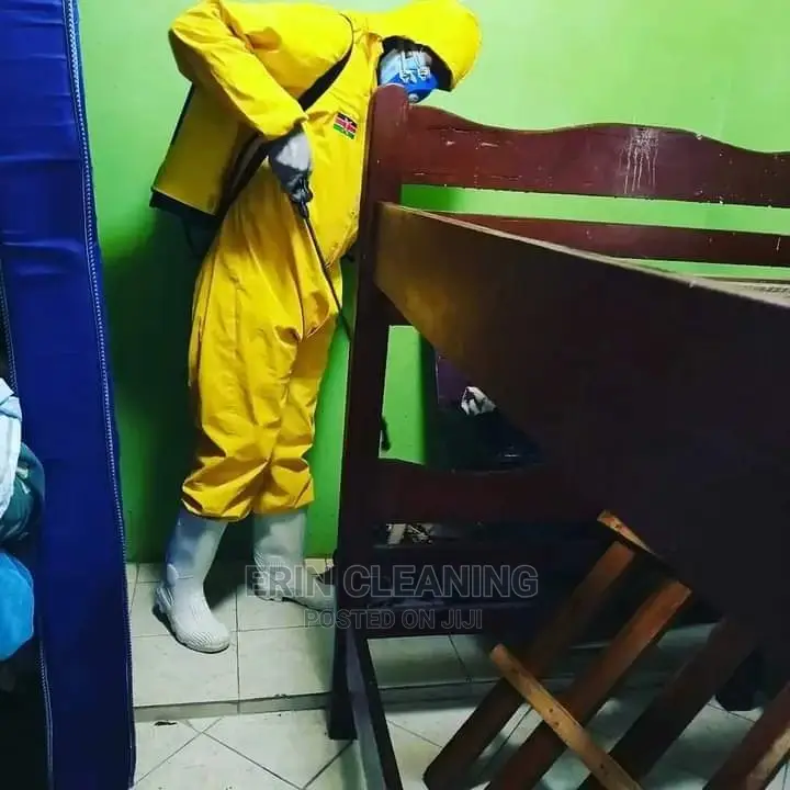 Same Day Fumigation Services