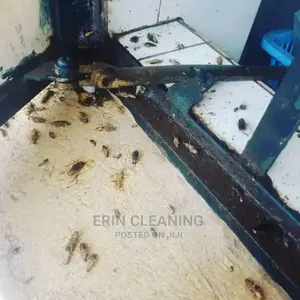 Instant Cockroaches and Bedbugs Services