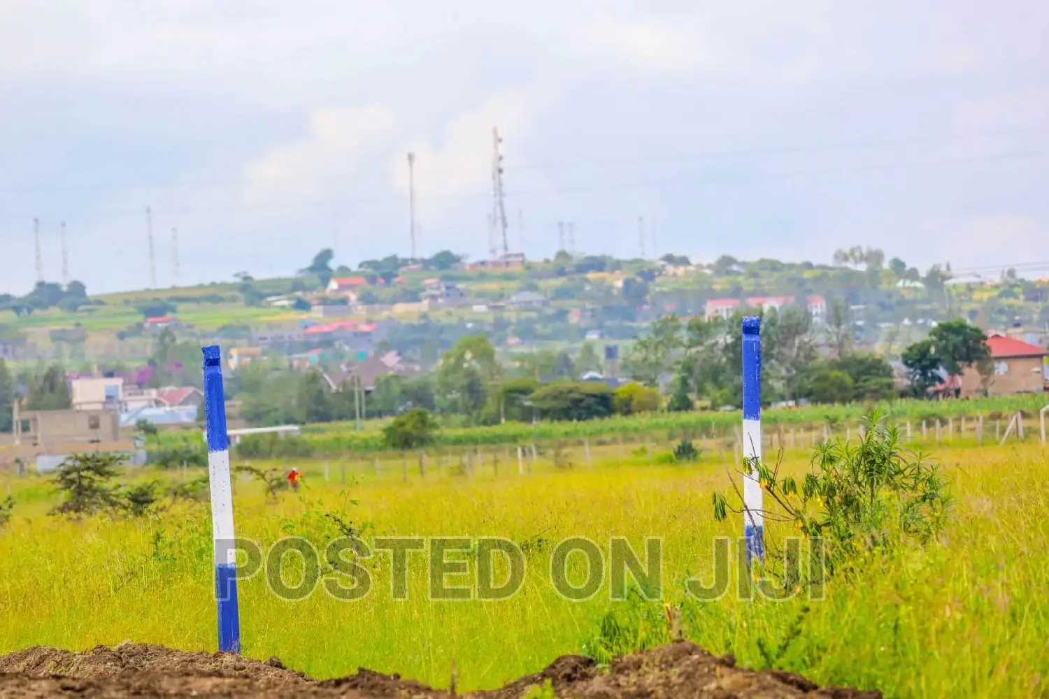 Unveiling New Malaa's 50 by 100 Plots^AC