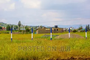 Unveiling New Malaa's 50 by 100 Plots^AC