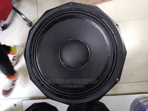 Pd 18 18inch Naked Speaker