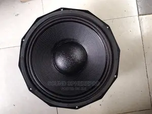 PD 1890 18 Inch Speaker