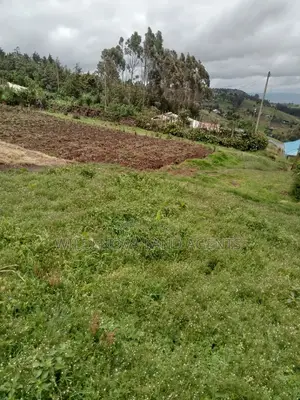 Land on Sale at Flyover Naivasha