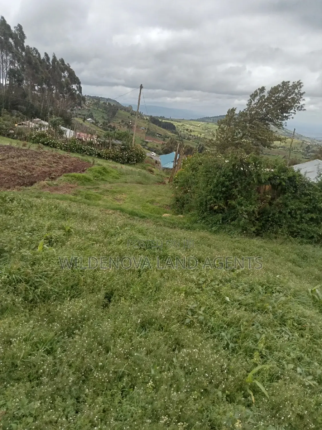Land on Sale at Flyover Naivasha
