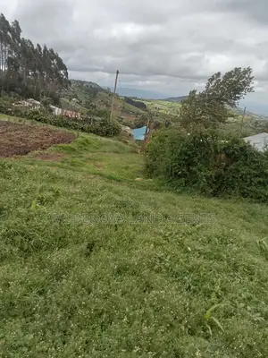 Land on Sale at Flyover Naivasha