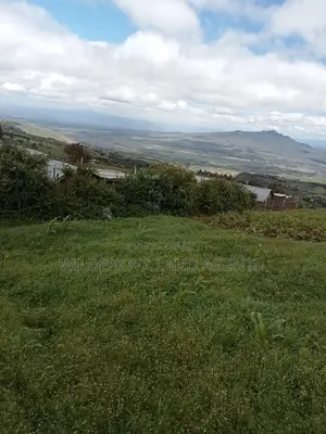 Land on Sale at Flyover Naivasha