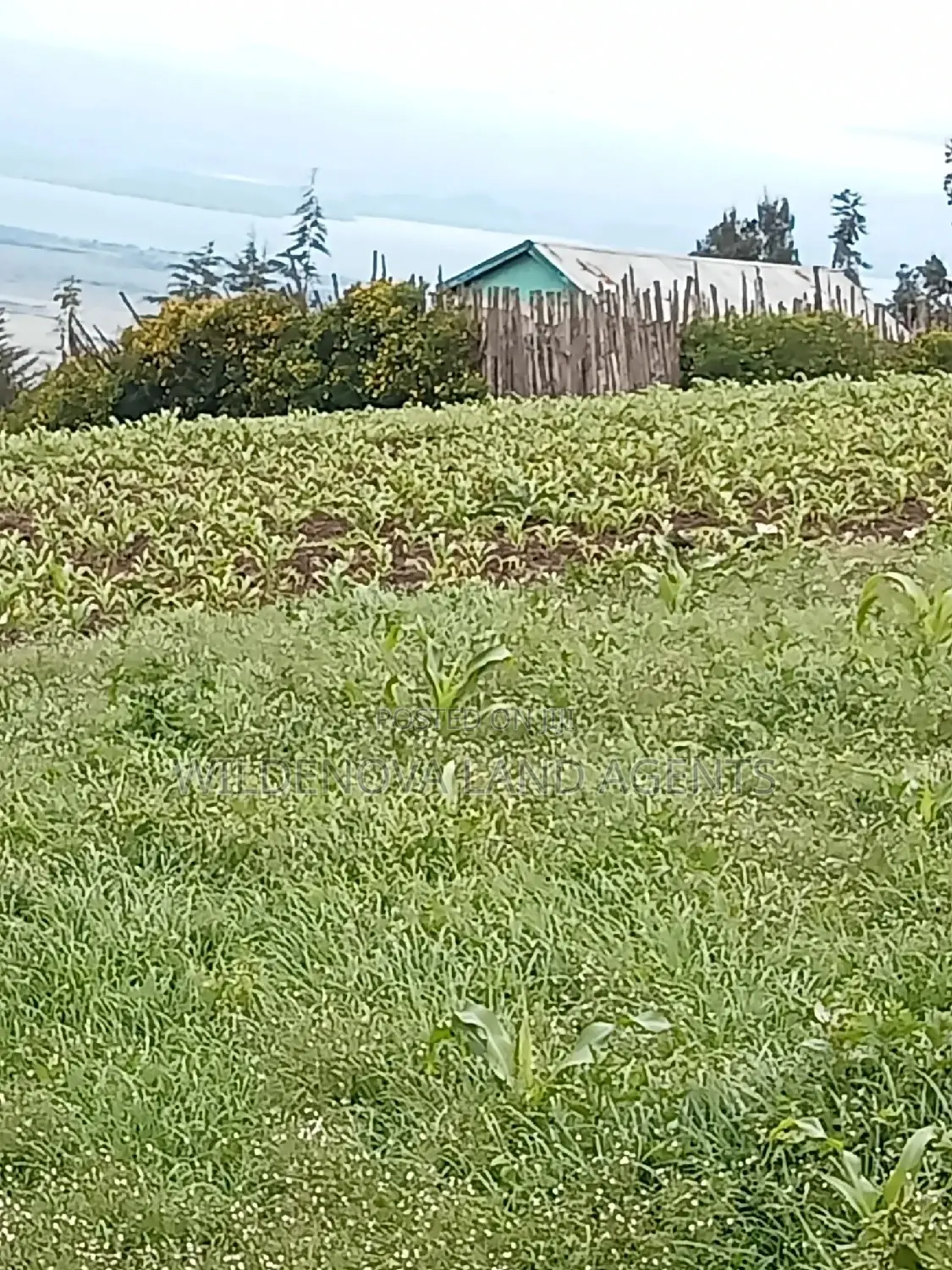 Land on Sale at Flyover Naivasha