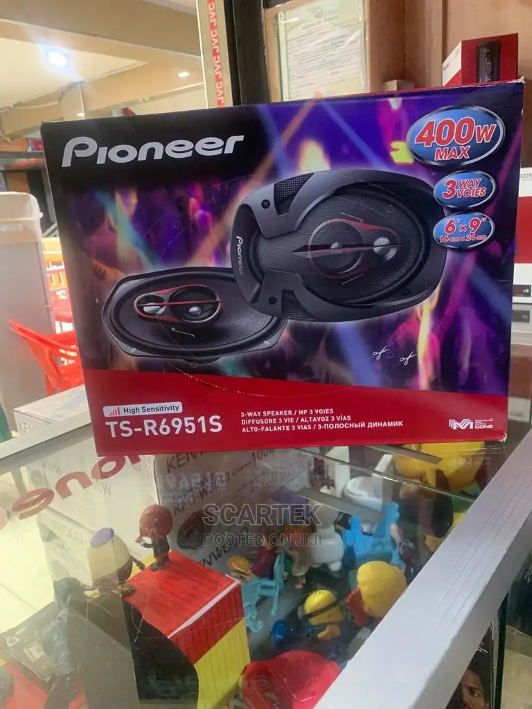 Pioneer 4-Way Speaker