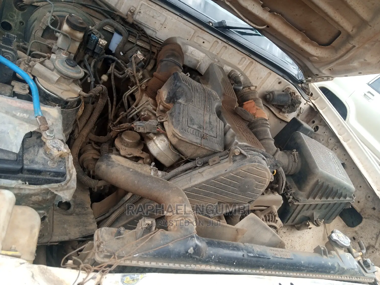 Ford Ranger 1999 White