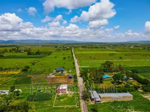 Malaa Plots in a Green Environment Mw
