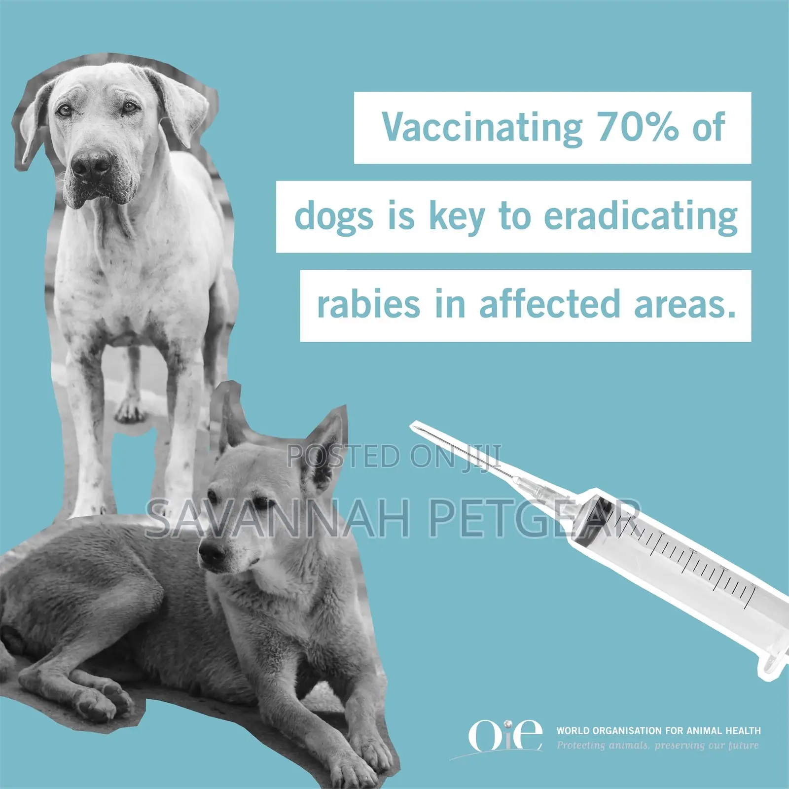 Rabies Vaccination