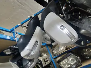 Vanguard Side Mirror 2013