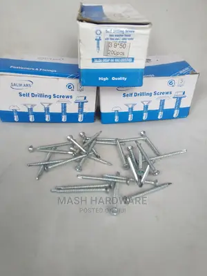 2"(3.9*50) Self Drilling Screws(200pcs)