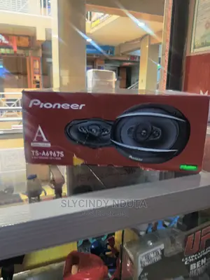 Pioneer Ts-A6967s 450W