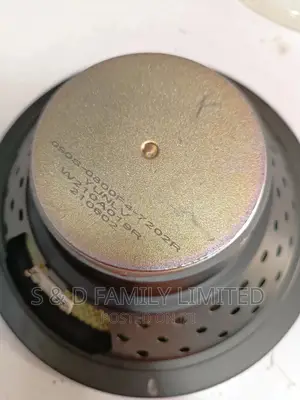 8 Inch Naked Subwoffer Speaker