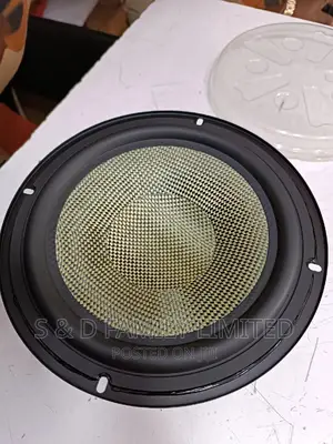8 Inch Naked Subwoffer Speaker