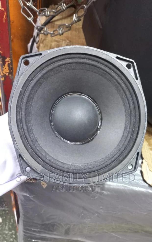 6 Inch PD Naked Speaker