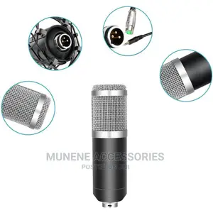 PROFESSIONAL Condenser MICROPHONE V8 Live Sound Card BM800