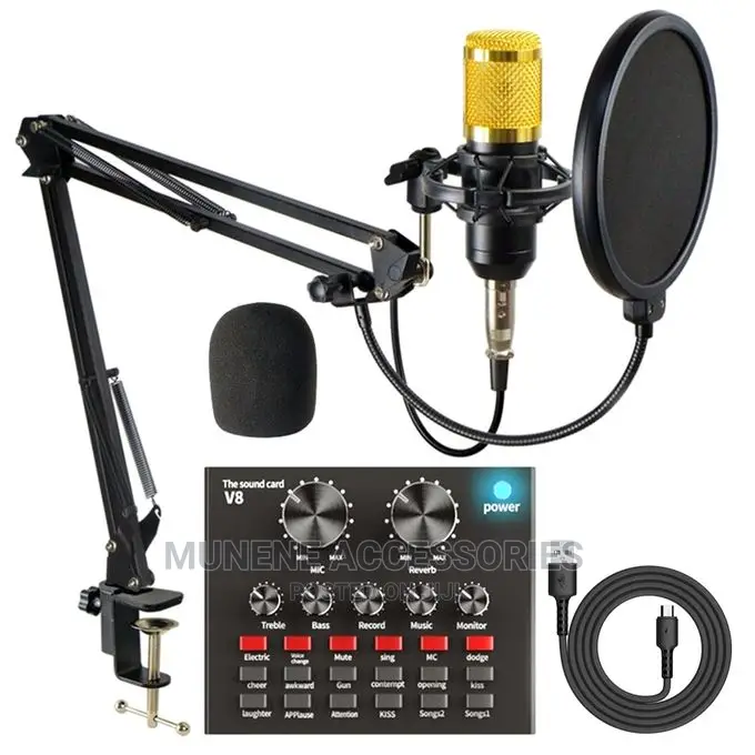 PROFESSIONAL Condenser MICROPHONE V8 Live Sound Card BM800