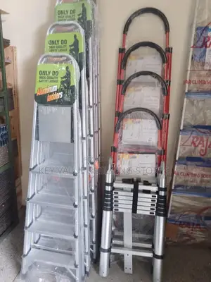 Quality Ladder