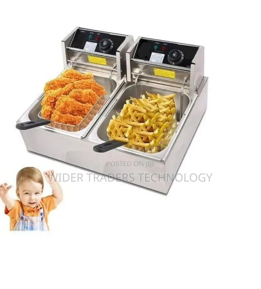 Owngreat Silver Double Fryer Electric Deep Fryer 12 Litre
