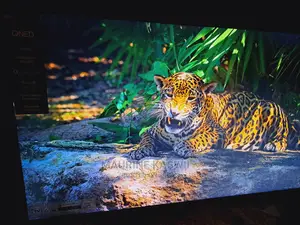 Lg 55inches Qned80