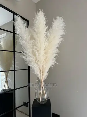Pampas Grass