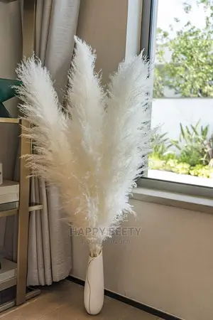 Large Size Pampas Grass