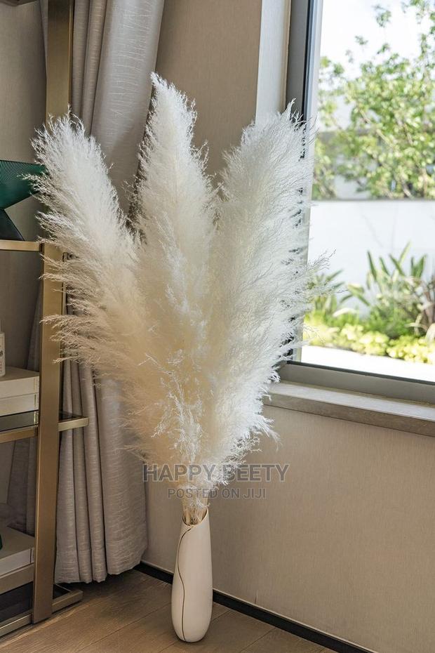 Large Size Pampas Grass - thumbnail 2
