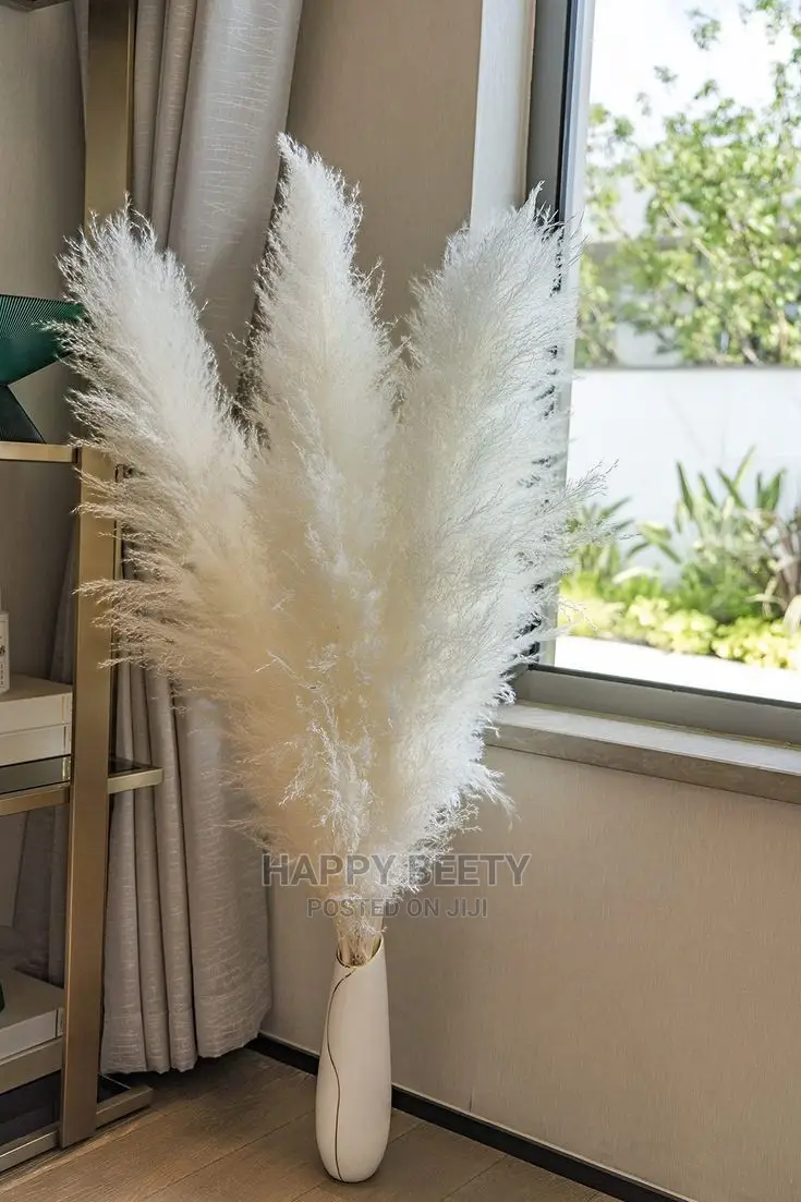 Large Size Pampas Grass