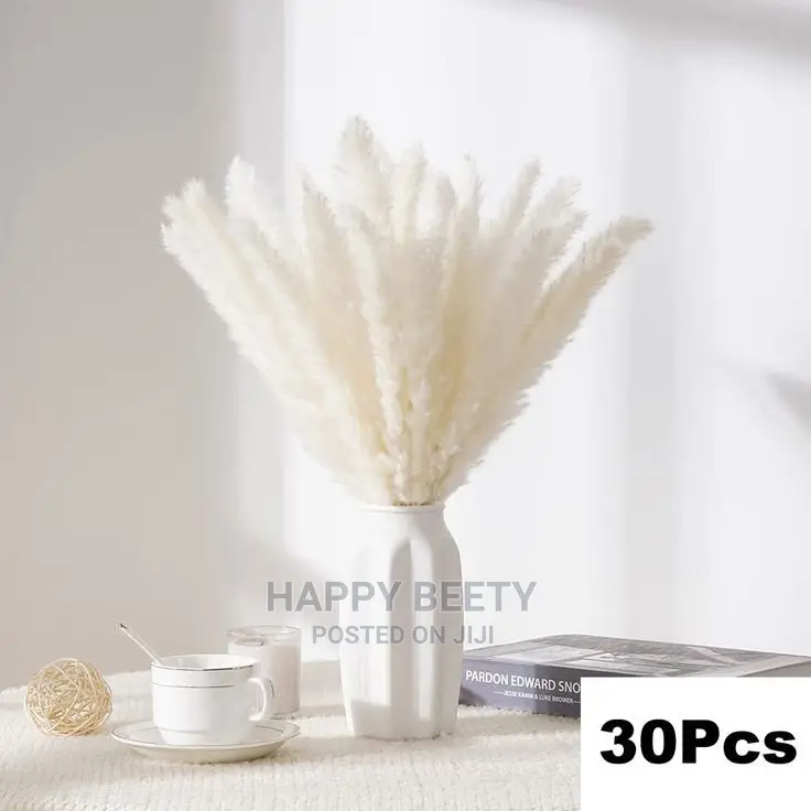 Mini Pampas Grass